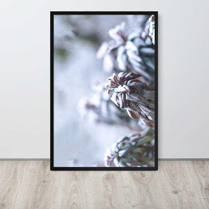 Poster - Frost on leaves, a moment in nature