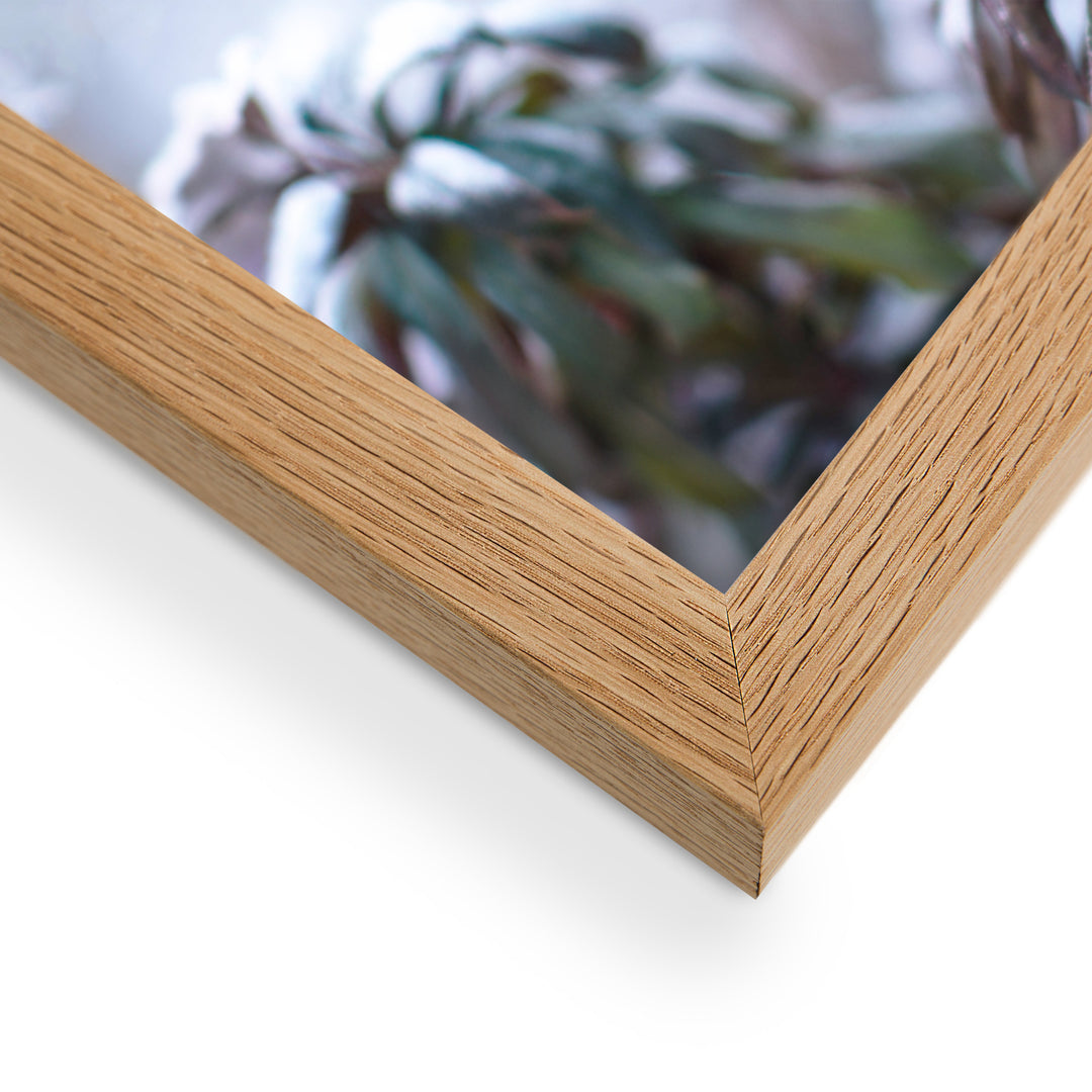 Poster - Frost on leaves, a moment in nature