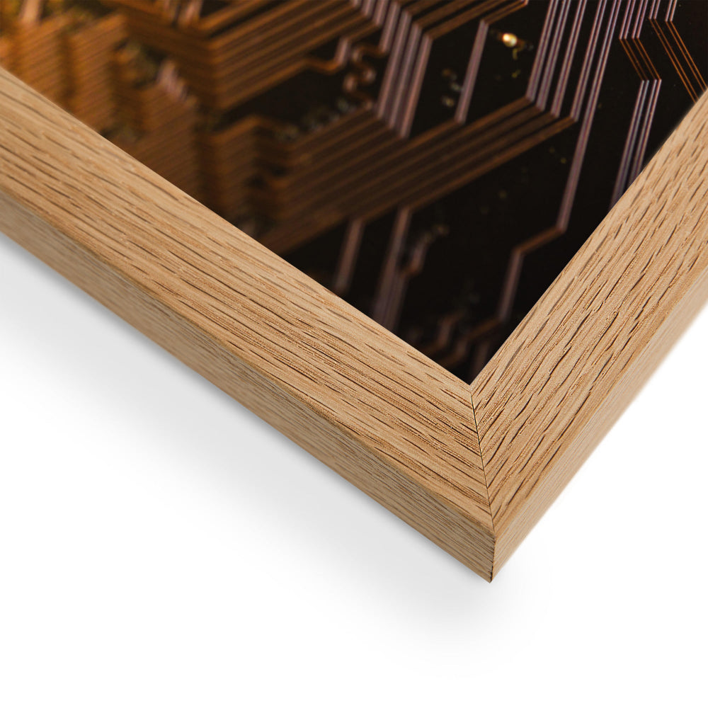 Poster - Bitcoin Gold-1