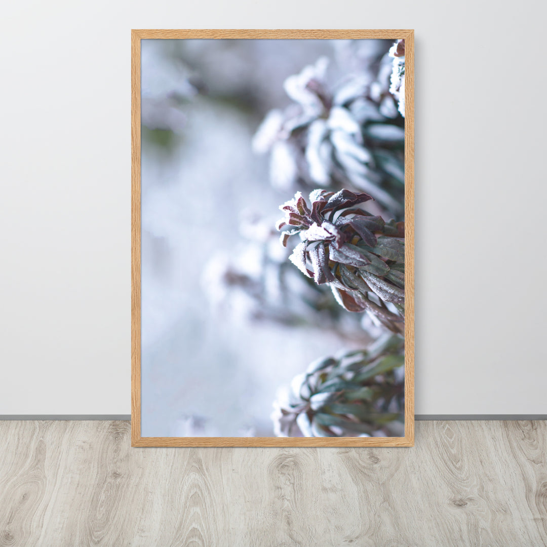 Poster - Frost on leaves, a moment in nature