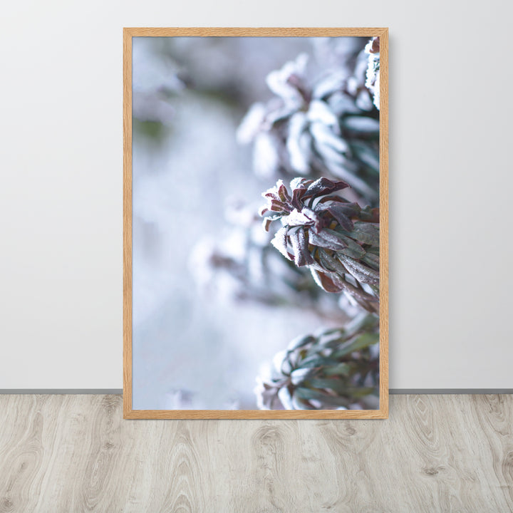 Poster - Frost on leaves, a moment in nature