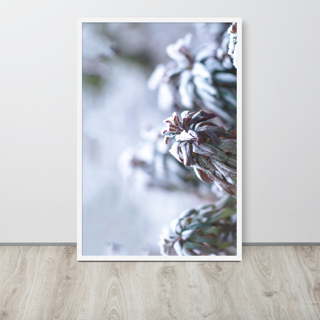 Poster - Frost on leaves, a moment in nature