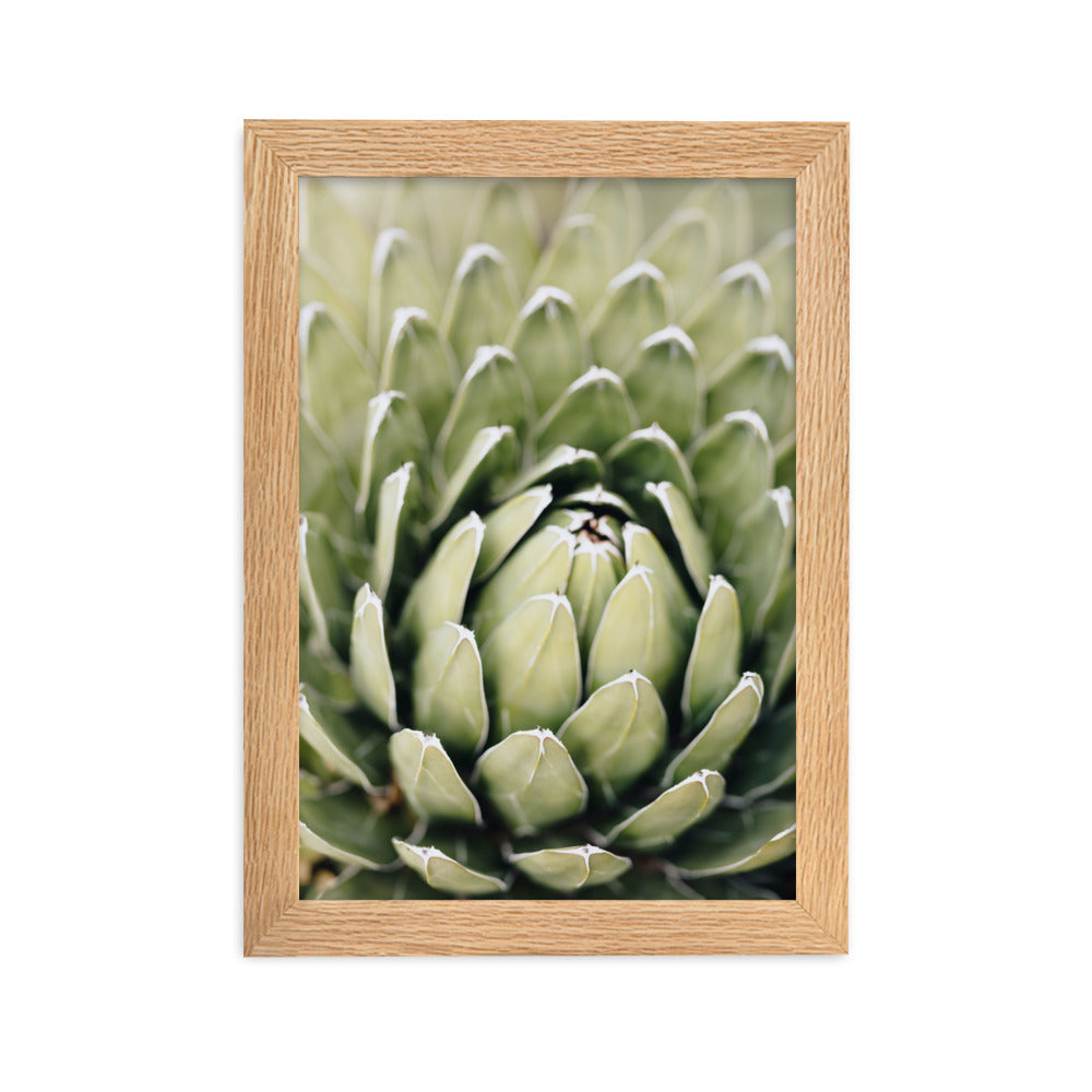 Poster - Cactus Flower II Oak / 21×30 cm artlia