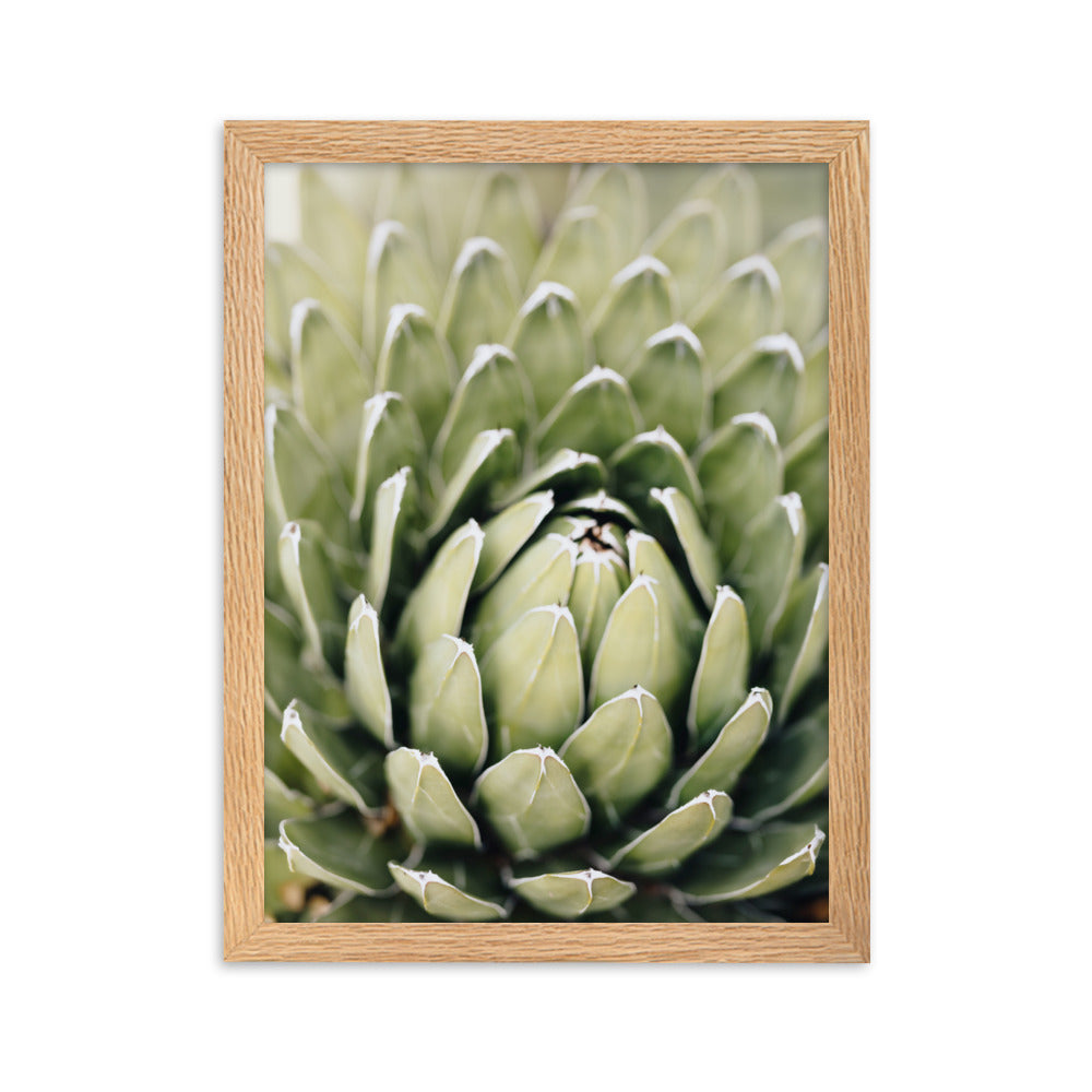 Poster - Cactus Flower II Oak / 30×40 cm artlia
