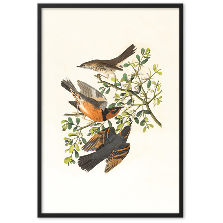 Poster - Drei Vögel auf Ästen Schwarz / 61×91 cm artlia