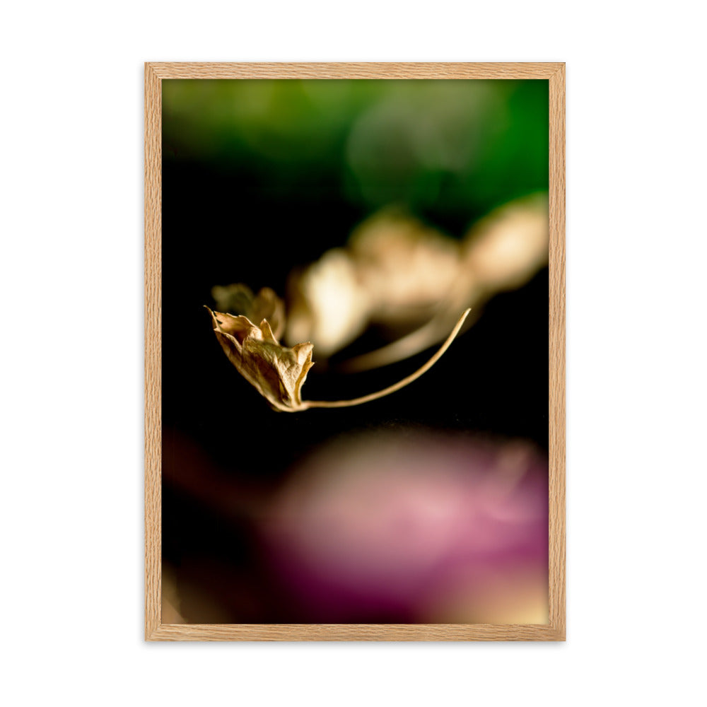 Poster - Falling Leaf Oak / 50×70 cm artlia