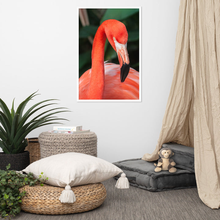 Poster - Flamingo, Phoenicopterus Ruber artlia