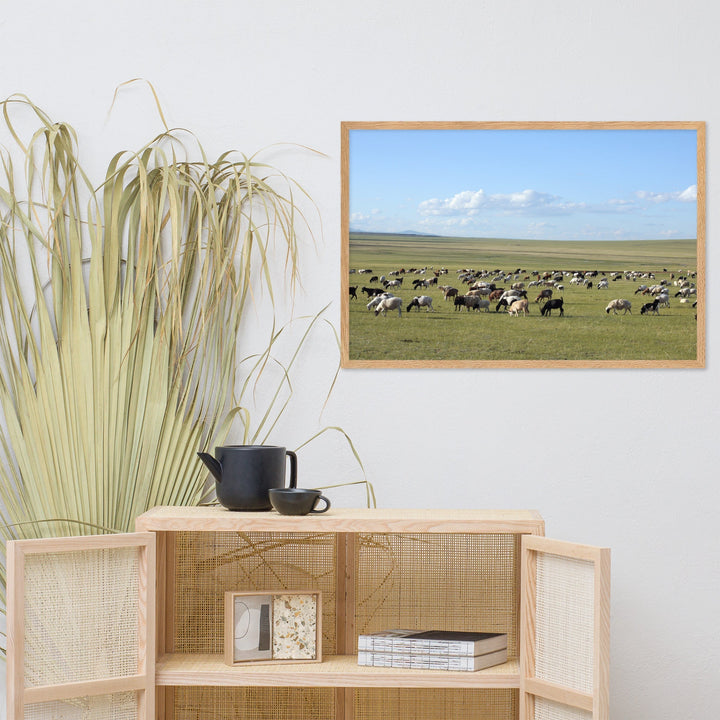 Poster - Herd of sheep graze in Mongolian steppe artlia