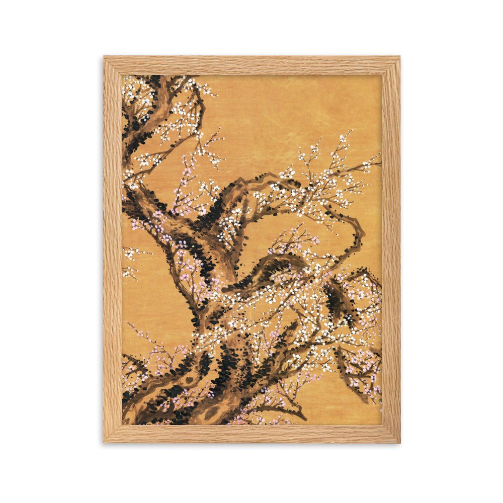 Poster - Rote und weiße Pflaumenblüten Oak / Teil 2 / 30×40 cm artlia