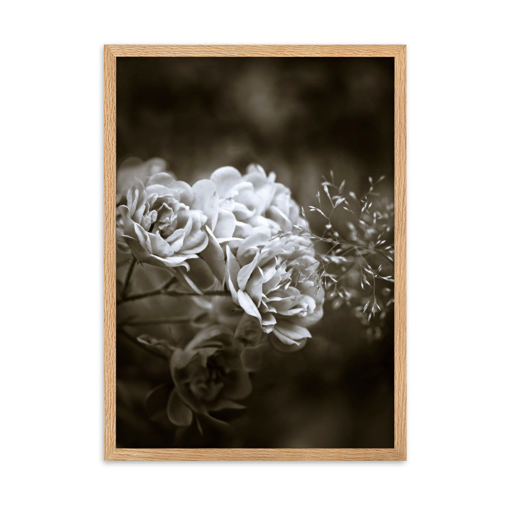 Poster - Weiße Pfingstrosen Oak / 50×70 cm artlia