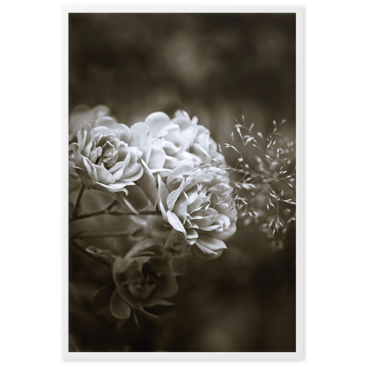 Poster - Weiße Pfingstrosen Weiß / 61×91 cm artlia