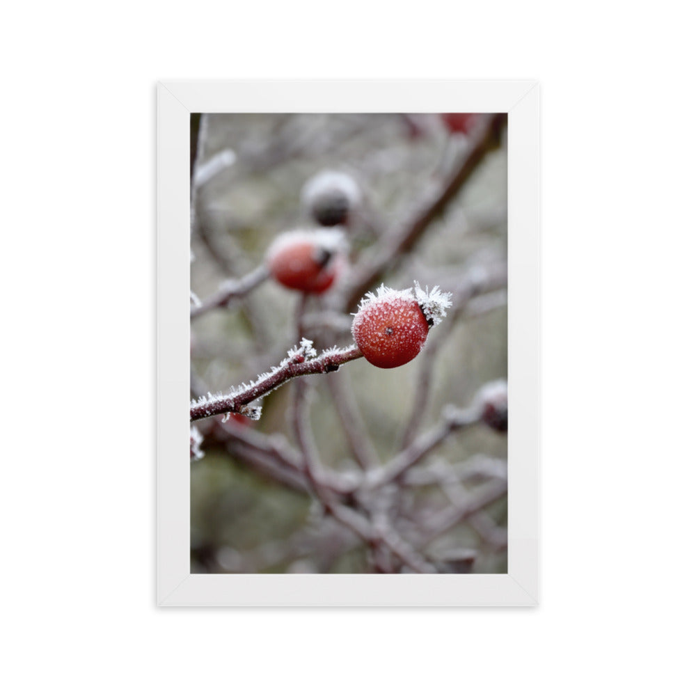 Poster - Winterbeeren II Weiß / 21×30 cm artlia