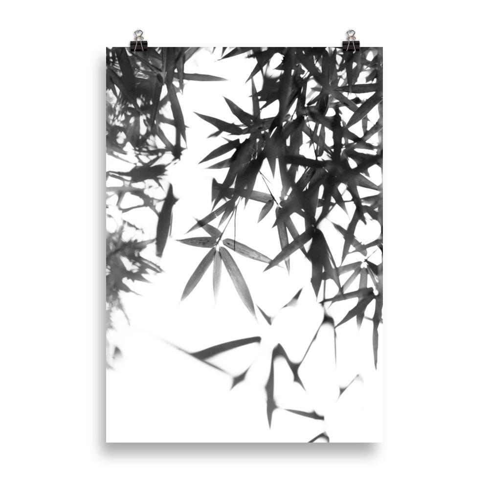 Bambusblätter - Poster 21×30 cm artlia
