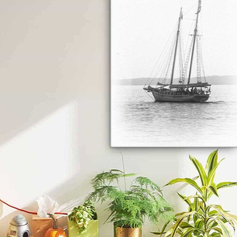 ein Segelboot - Poster artlia