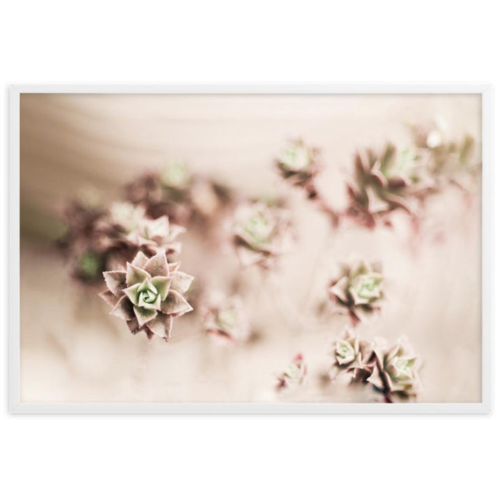 Flower Cactus - Poster artlia