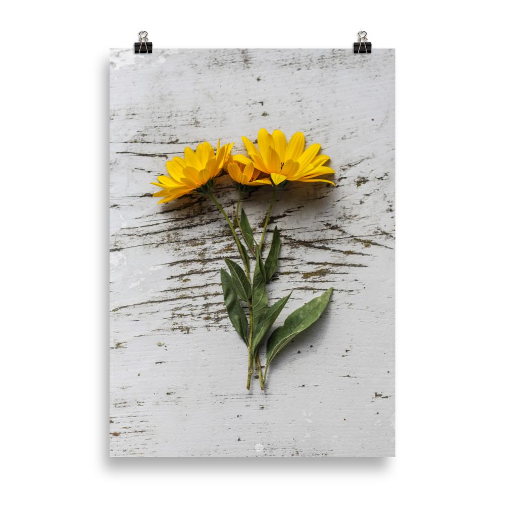 gelbe Blumen 6 - Poster 21×30 cm artlia