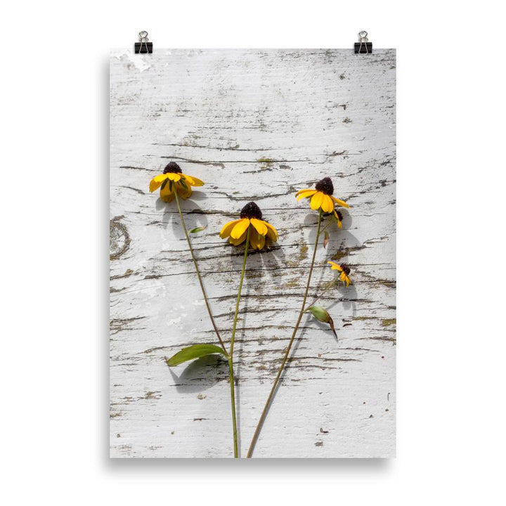 gelbe Blumen 7 - Poster 21×30 cm artlia