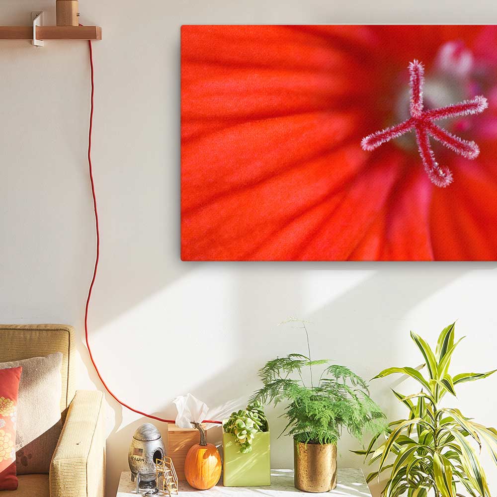 Geranie - Poster artlia