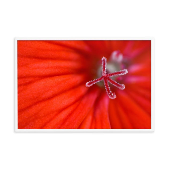 Geranie - Poster artlia