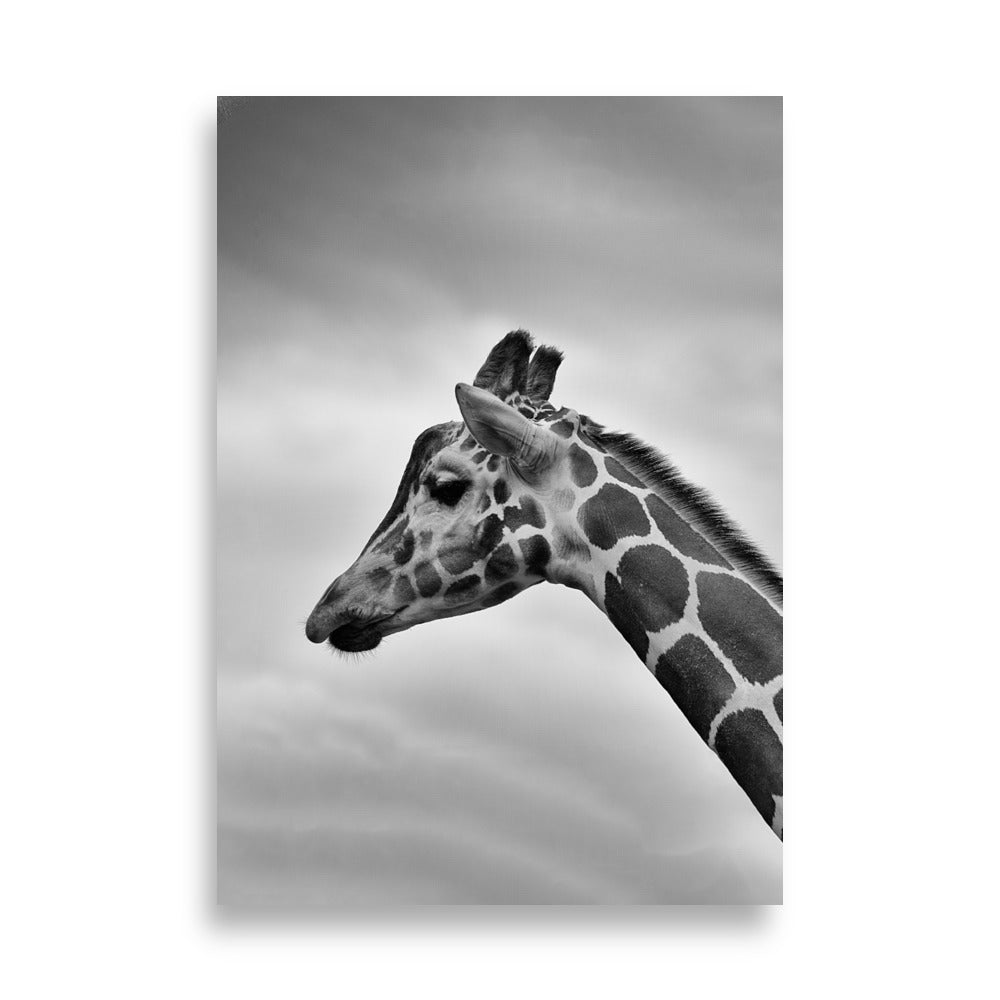Giraffe - Poster 21×30 cm artlia