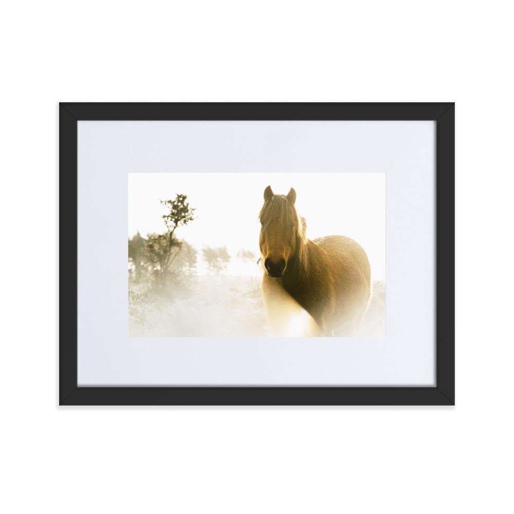 Pferd im Traum - Poster im Rahmen mit Passepartout Schwarz / 30×40 cm artlia
