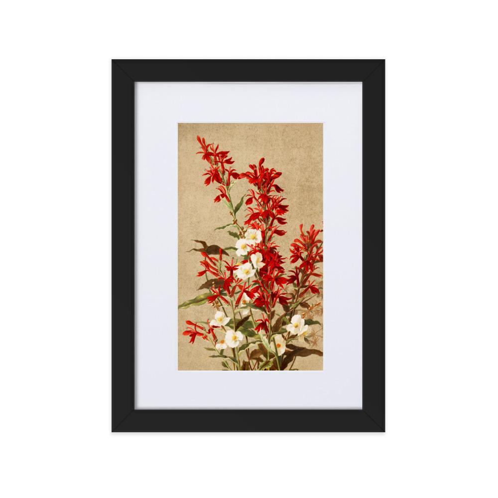 Kardinalsblumen - Poster im Rahmen mit Passepartout schwarz / 21×30 cm artlia