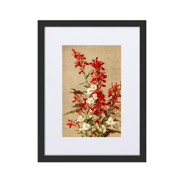 Kardinalsblumen - Poster im Rahmen mit Passepartout schwarz / 30×40 cm artlia