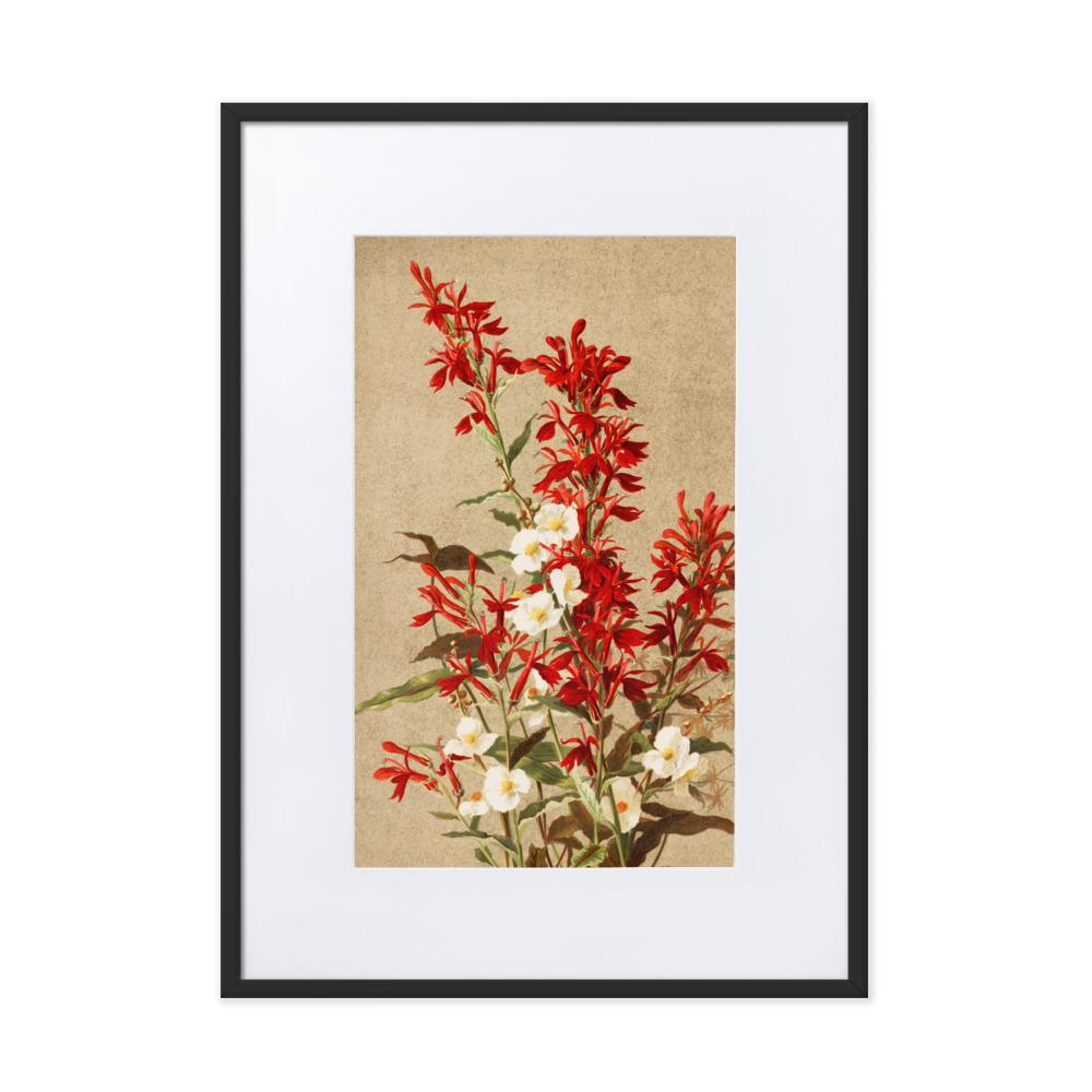 Kardinalsblumen - Poster im Rahmen mit Passepartout schwarz / 50×70 cm artlia