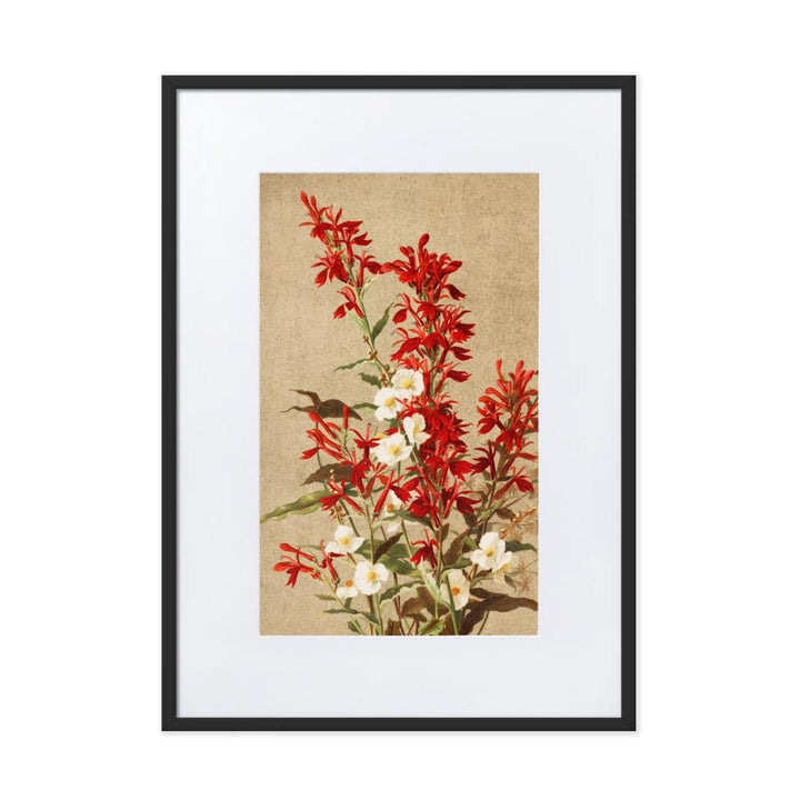 Kardinalsblumen - Poster im Rahmen mit Passepartout schwarz / 50×70 cm artlia