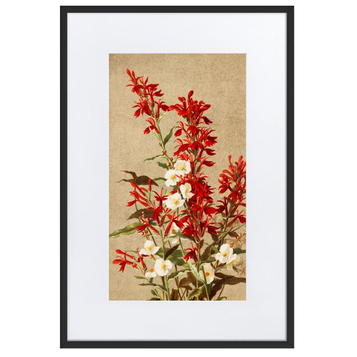 Kardinalsblumen - Poster im Rahmen mit Passepartout schwarz / 61×91 cm artlia