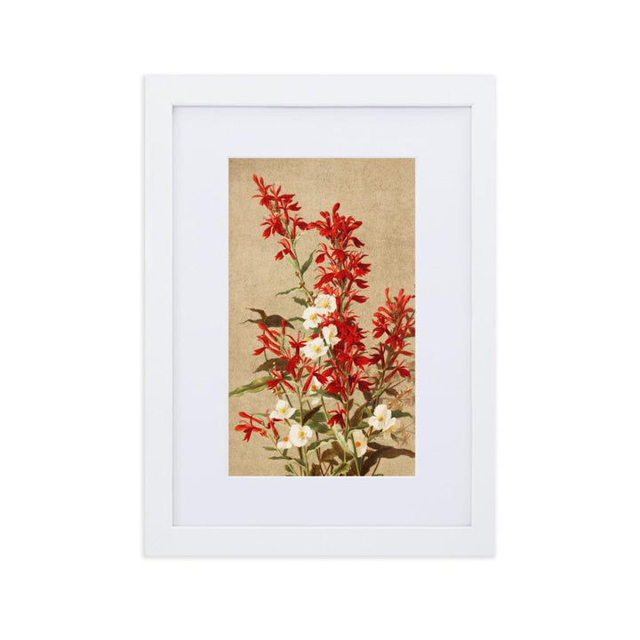 Kardinalsblumen - Poster im Rahmen mit Passepartout weiß / 21×30 cm artlia