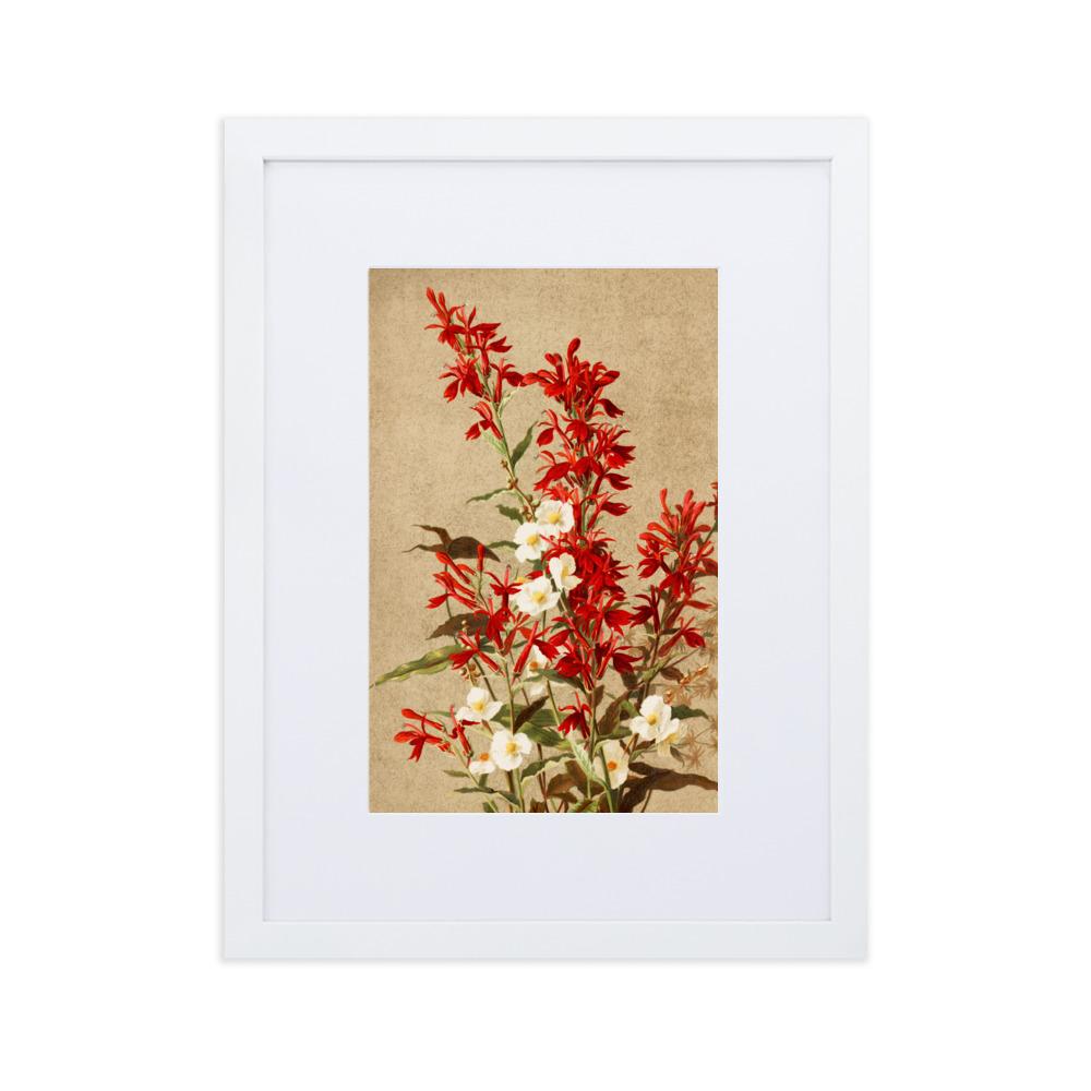 Kardinalsblumen - Poster im Rahmen mit Passepartout weiß / 30×40 cm artlia