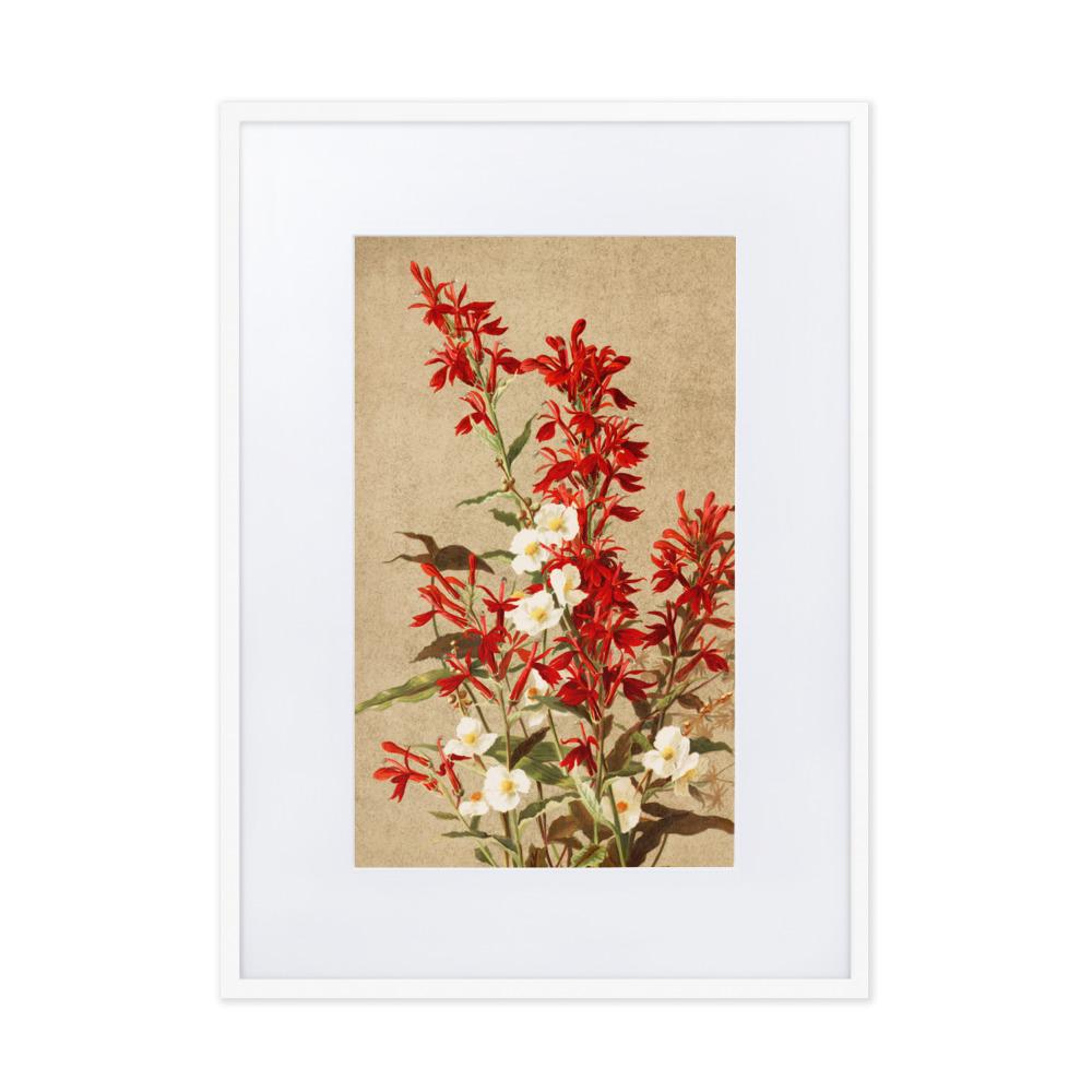 Kardinalsblumen - Poster im Rahmen mit Passepartout weiß / 50×70 cm artlia