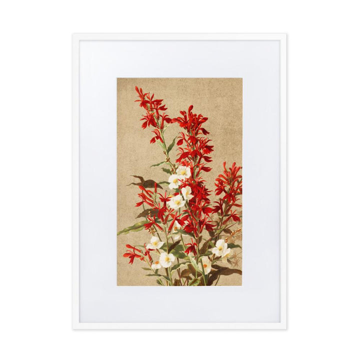 Kardinalsblumen - Poster im Rahmen mit Passepartout weiß / 50×70 cm artlia