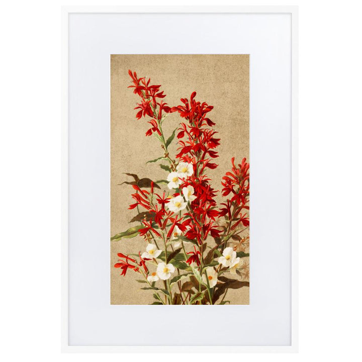 Kardinalsblumen - Poster im Rahmen mit Passepartout weiß / 61×91 cm artlia