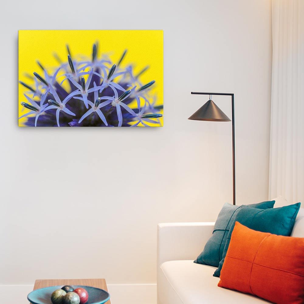 Kugeldiestel - Poster 61x91 cm artlia