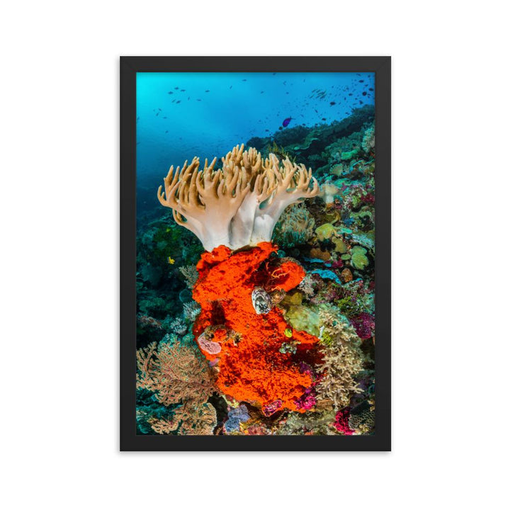 Lederkoralle - Poster im Rahmen schwarz / 30x45 cm artlia