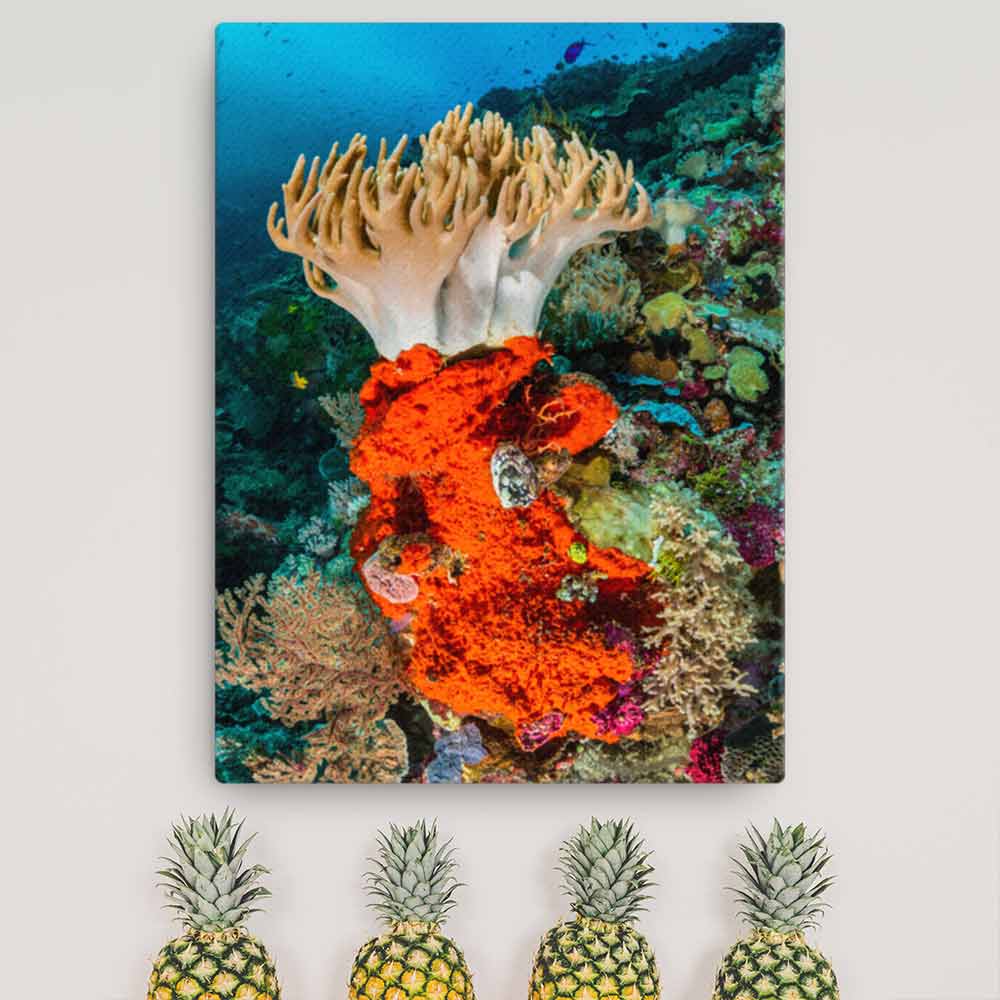 Lederkoralle - Poster 30x41 cm artlia