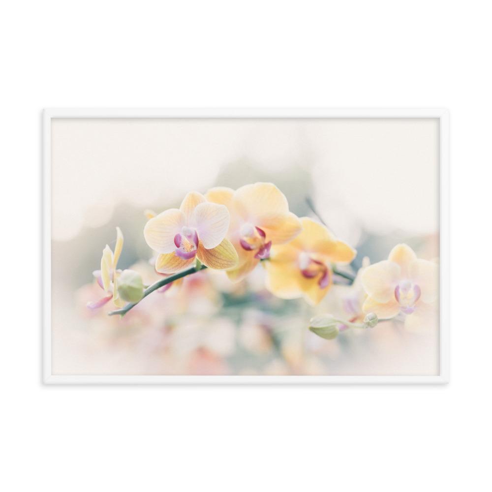 Buy orchid posters &amp; orchid wall pictures | artlia – ARTLIA