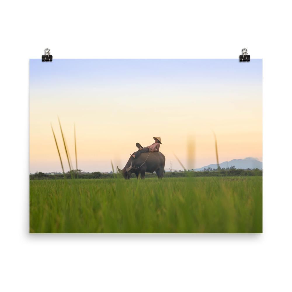 Peaceful Evening - Poster 30x41 cm artlia