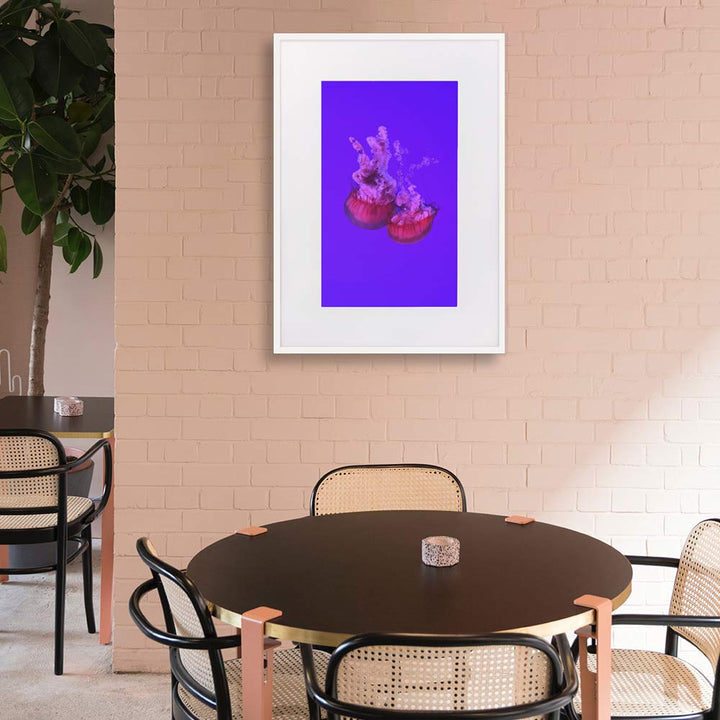 Pinke Qualle - Poster artlia