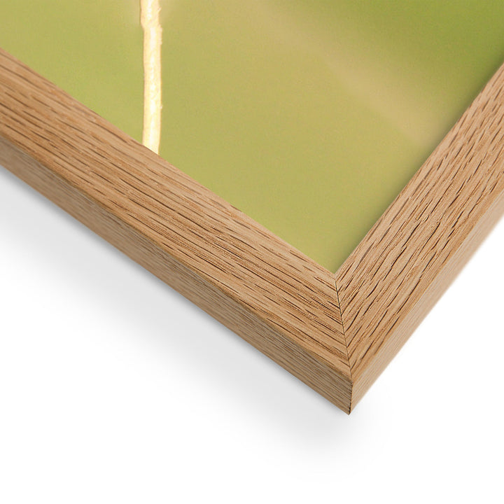 Poster - Elsterschmätzer Pied Bushchat artlia