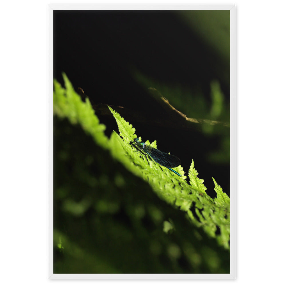 Poster - Grüne Libelle artlia