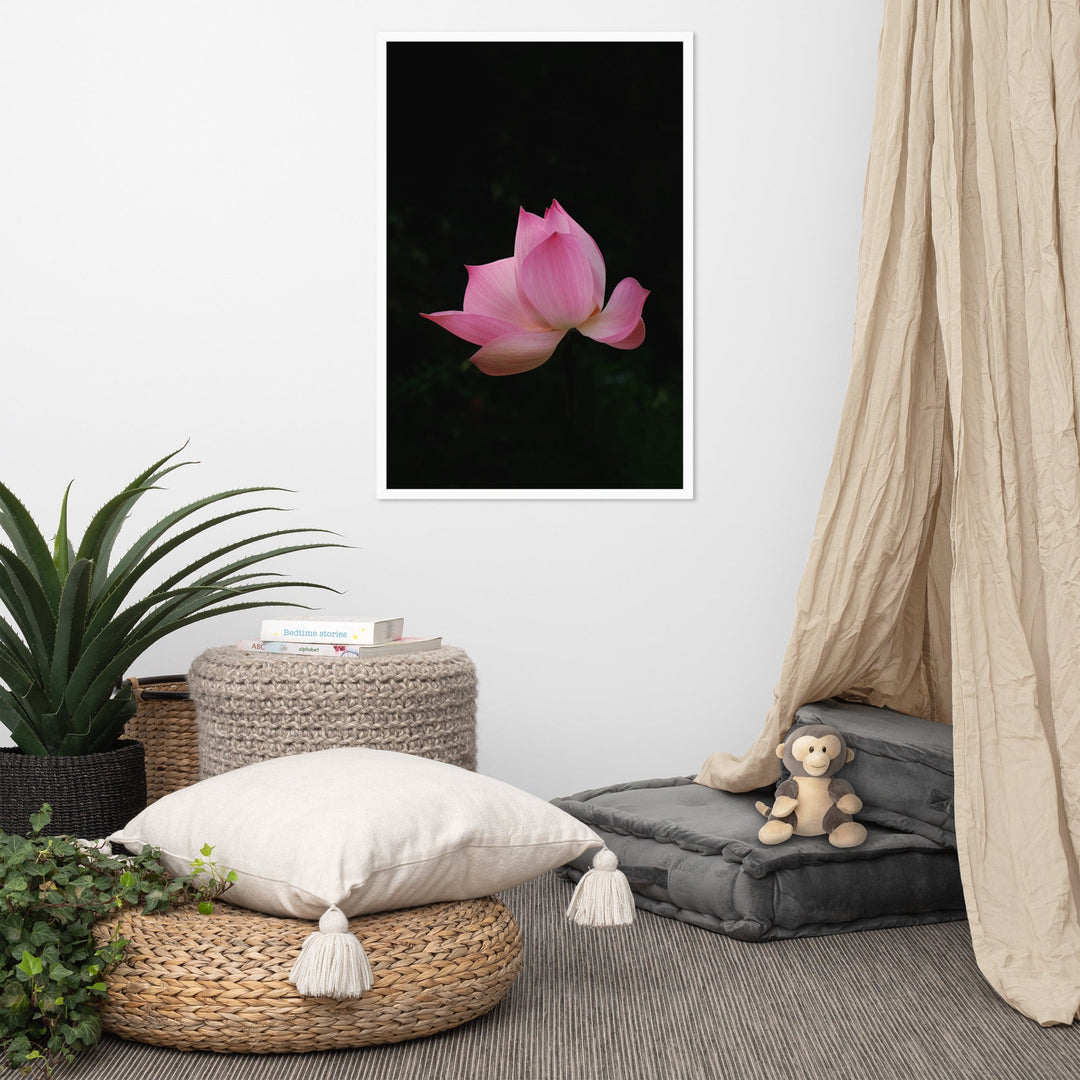 Poster mit Rahmen - Lotus Seerose artlia