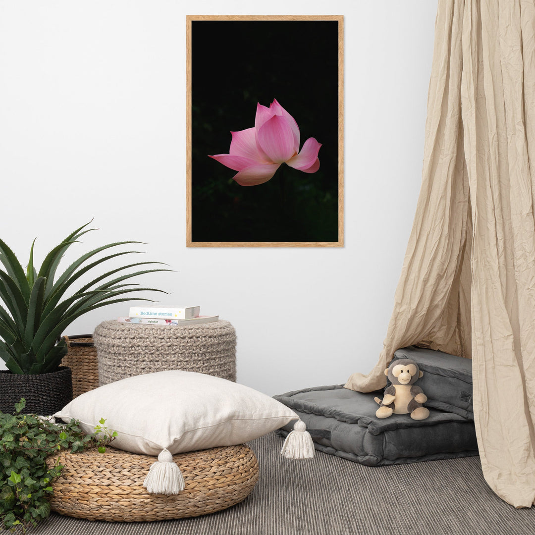 Poster mit Rahmen - Lotus Seerose artlia