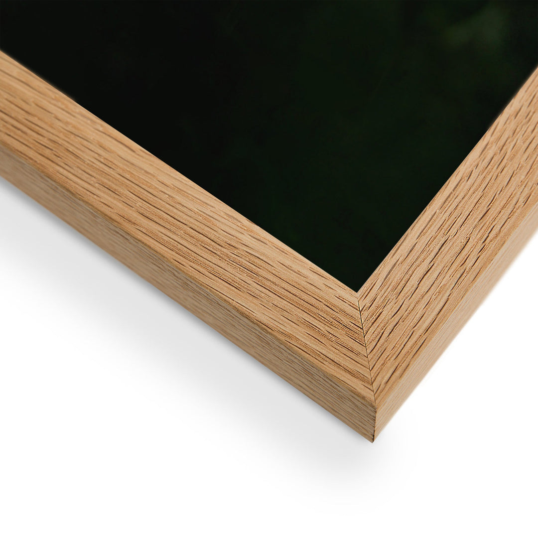 Poster mit Rahmen - Lotus Seerose artlia