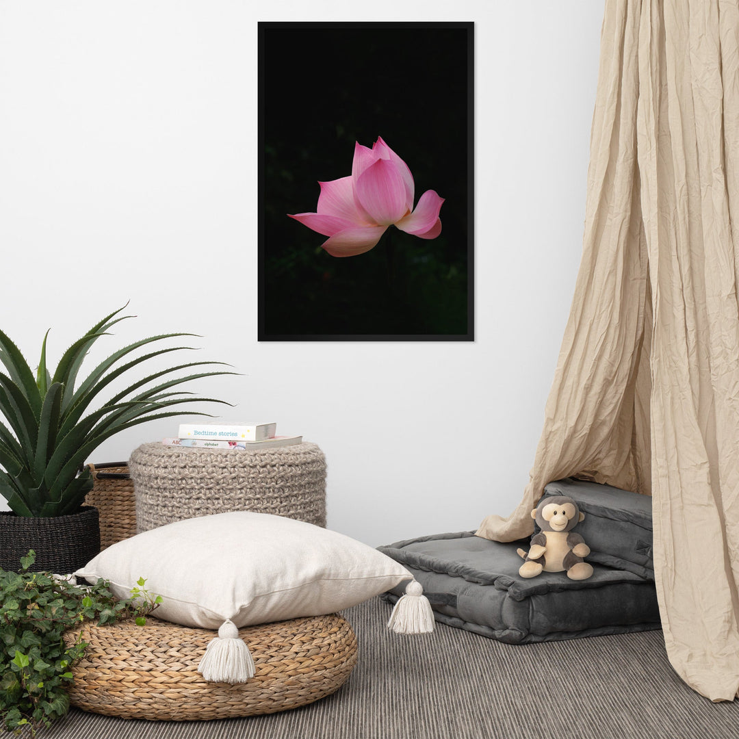 Poster mit Rahmen - Lotus Seerose artlia