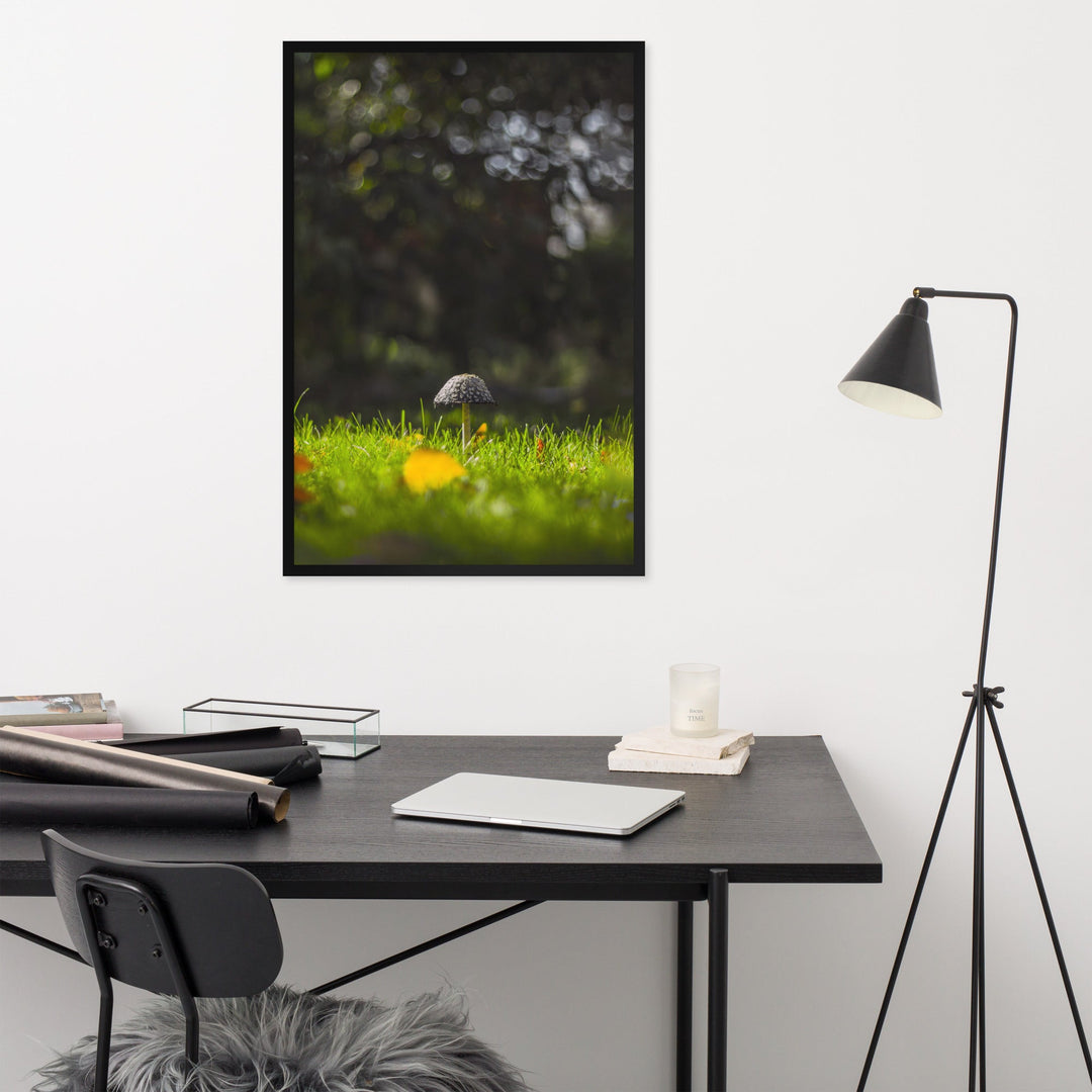 Poster - Pilz artlia