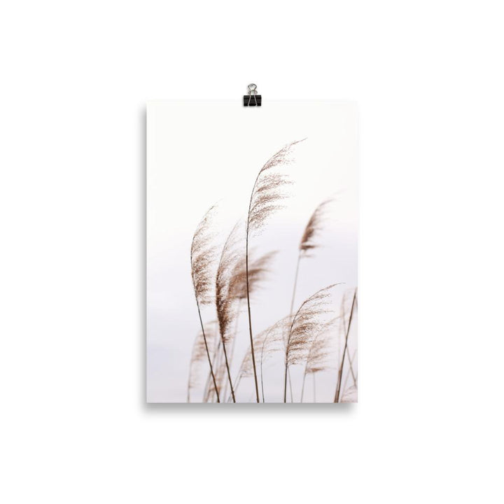 Schilf Reeds 01 - Poster artlia
