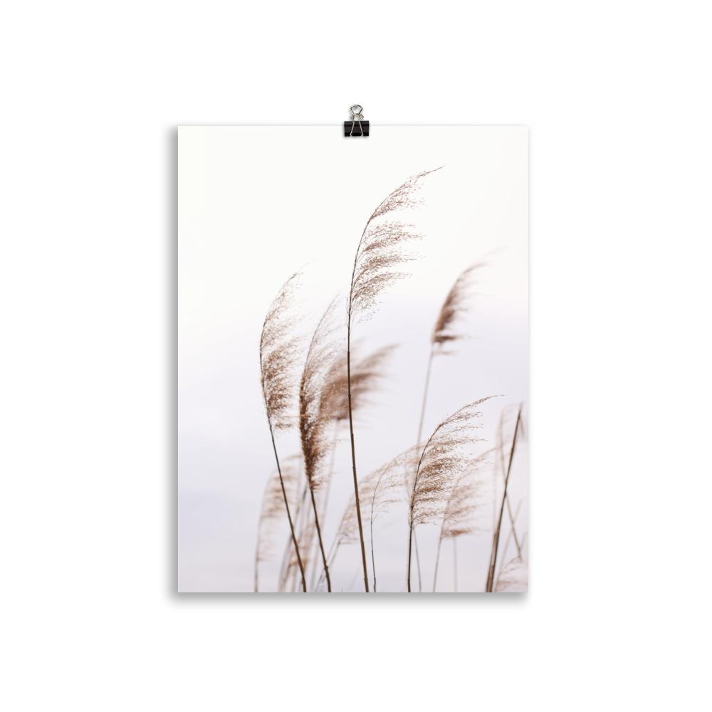 Schilf Reeds 01 - Poster artlia